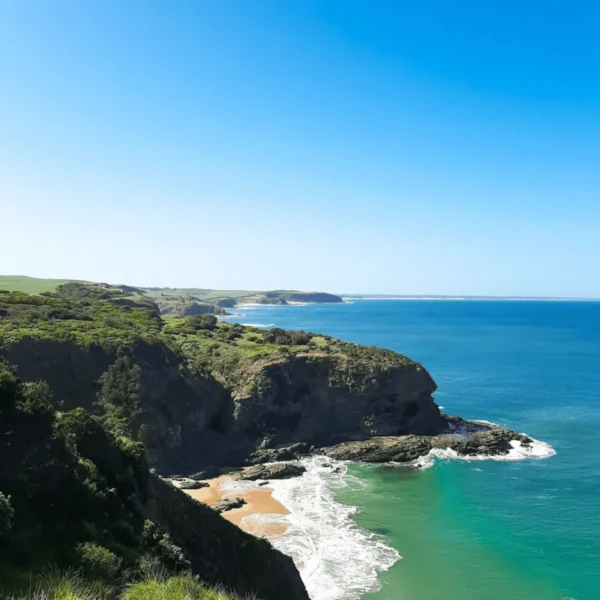 day trip phillip island