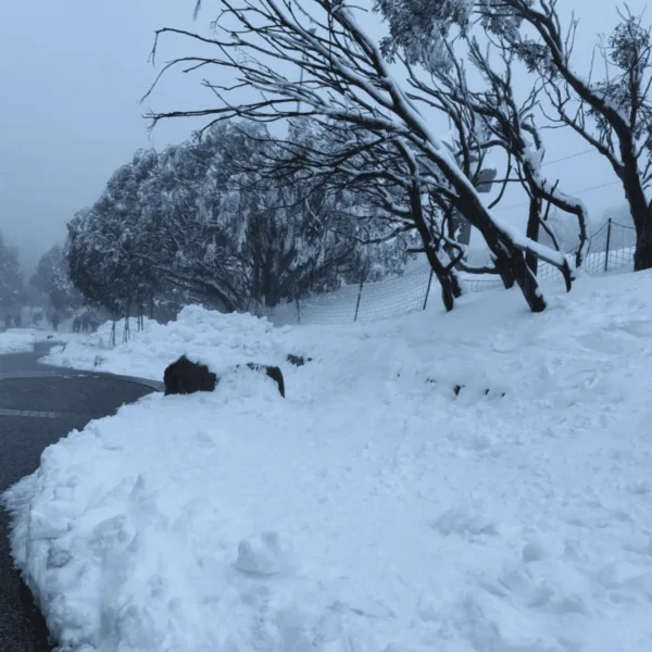 day trip snow melbourne