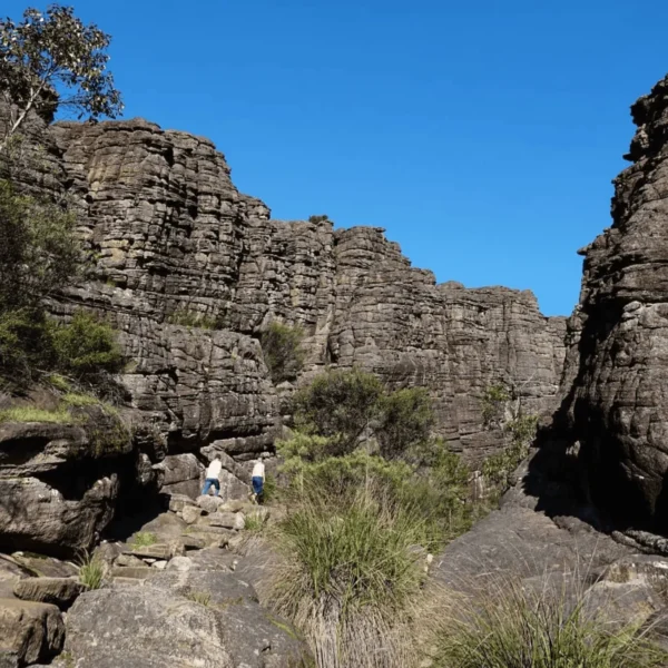 day trip to grampians from melbourne