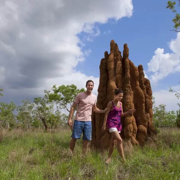 day trip to kakadu