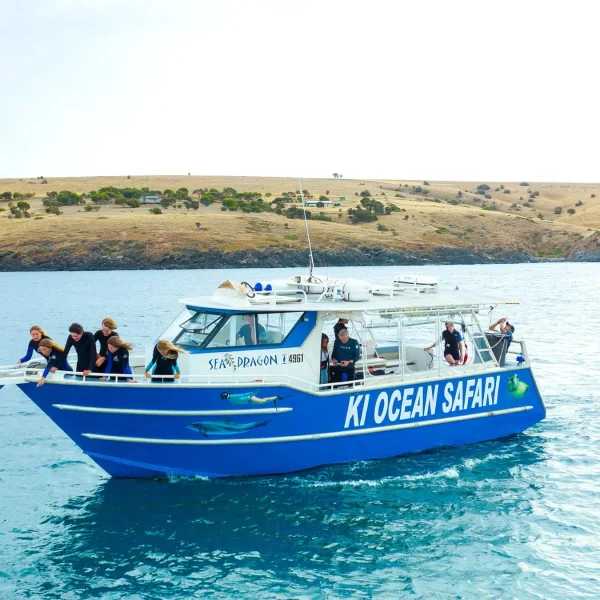 day trip to kangaroo island