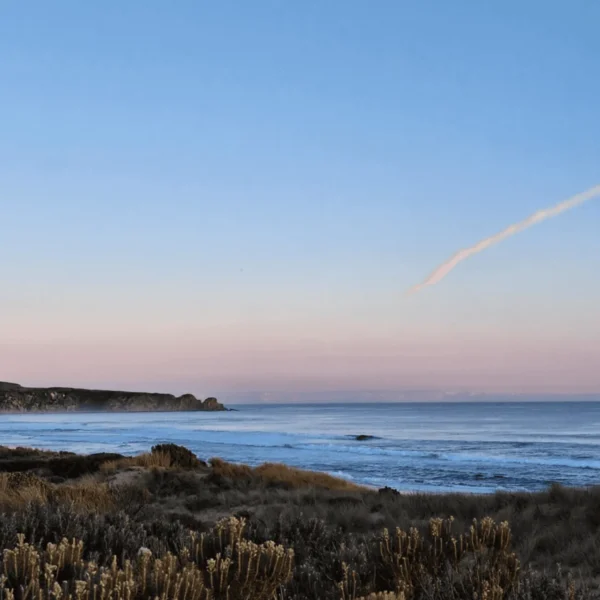 day trip to phillip island