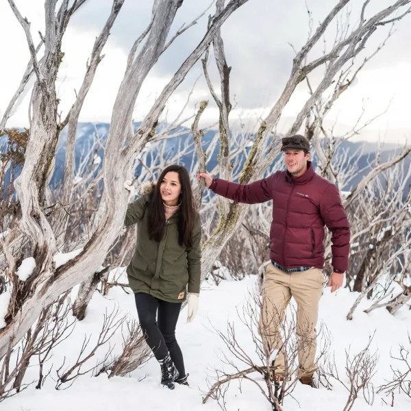 day trip to snow from melbourne