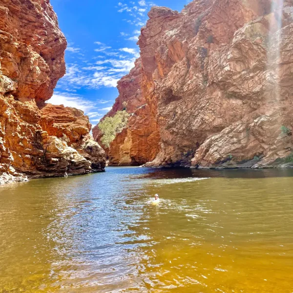 day trips from alice springs
