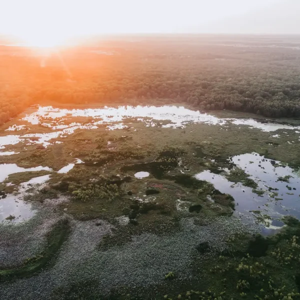 day trips from darwin
