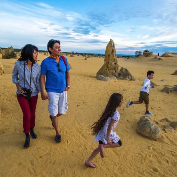 pinnacles night tour