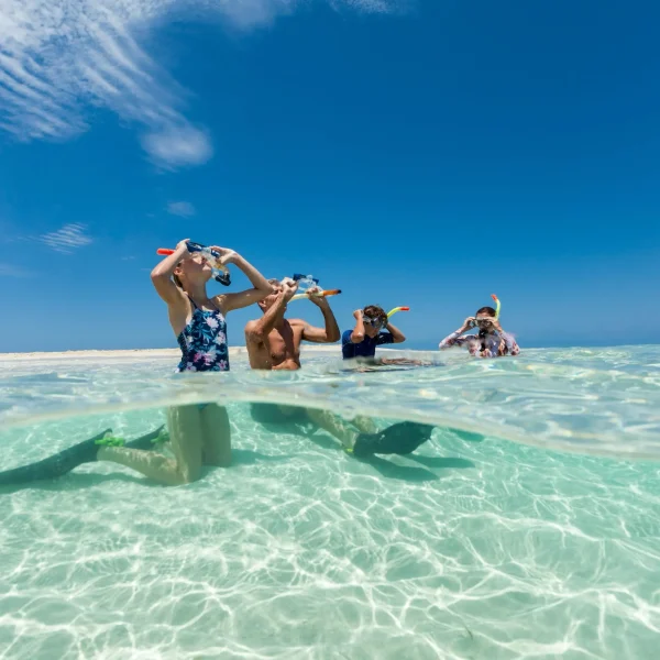 eco rainforest & reef 9 day adventure