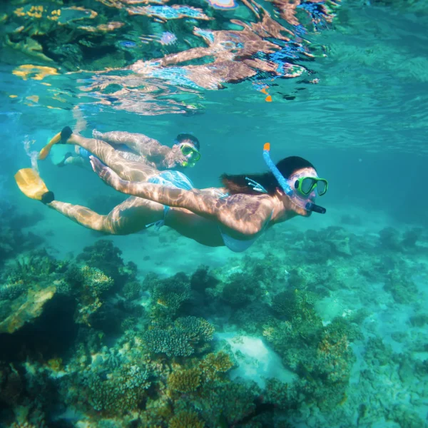 eco tours coral bay