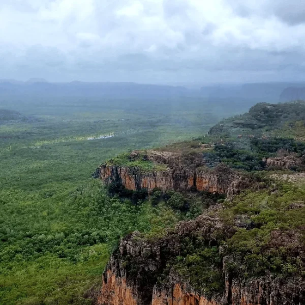 1 day kakadu tours from jabiru
