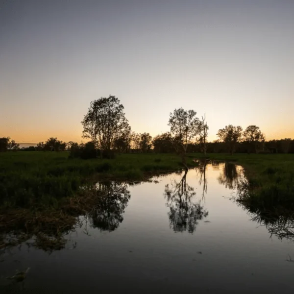2 day kakadu itinerary