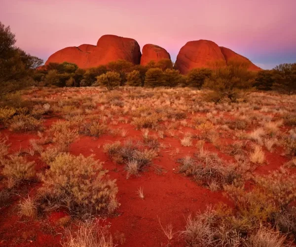 2 day kata tjuta tour