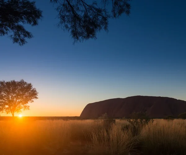 kata tjuta tour
