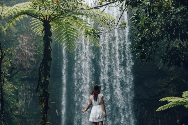 3 Day Daintree Rainforest & Port Douglas Tour
