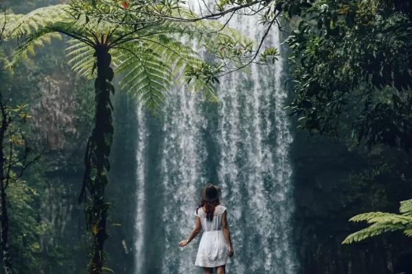 3 Day Daintree Rainforest & Port Douglas Tour