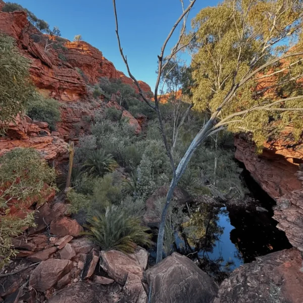 3 Day Kings Canyon Trip