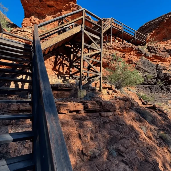 3 Day Kings Canyon Trips