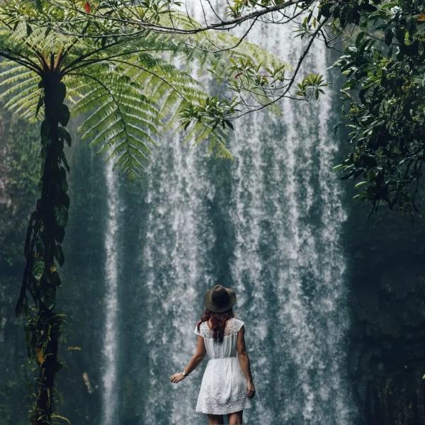 3 day cairns rainforest breakout
