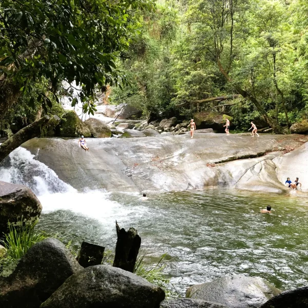 3 day cairns to daintree tour