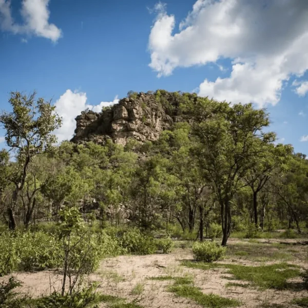 3 day kakadu and litchfield tour
