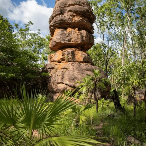 3 day kakadu tour