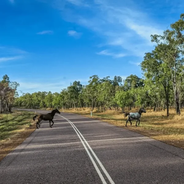 4 day Kakadu tour
