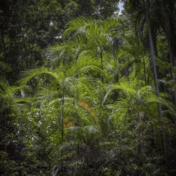4wd tours kakadu