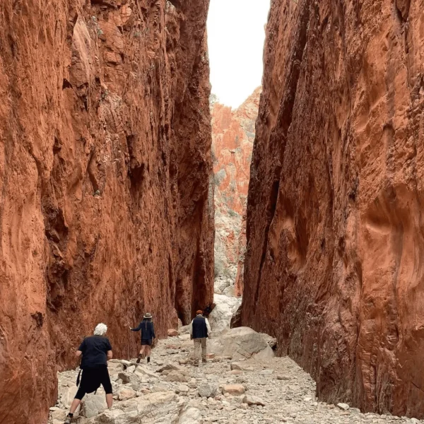 5 Day Larapinta Walking Trip