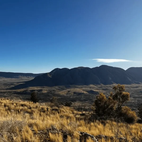 5 Day Larapinta Walking Trips