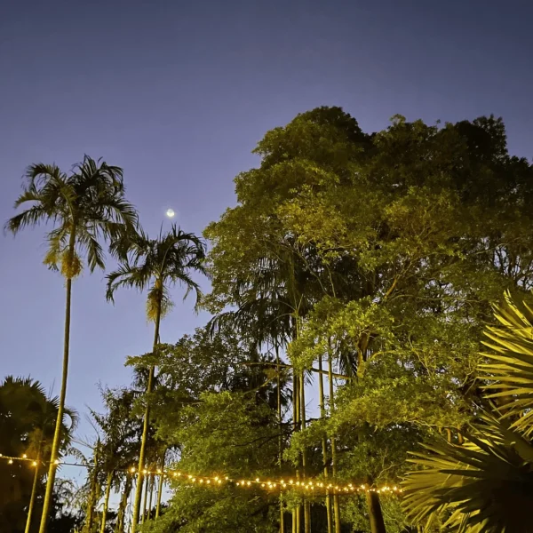 5 day kakadu trip