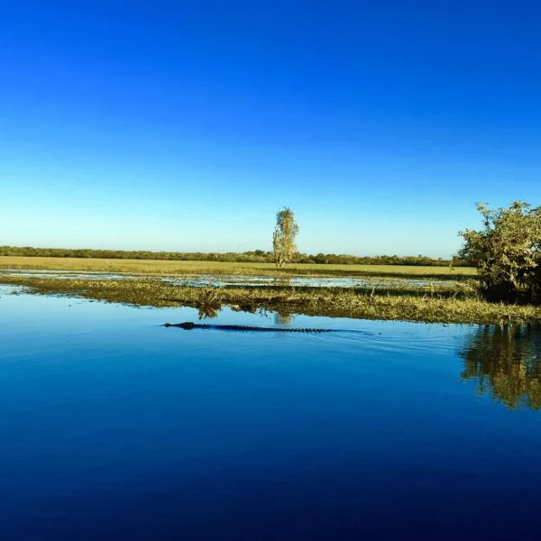 5 day tours from darwin