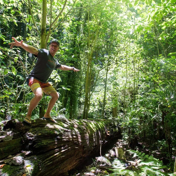 5.Travelling-East-Coast-Australia-Dorrigo-NP