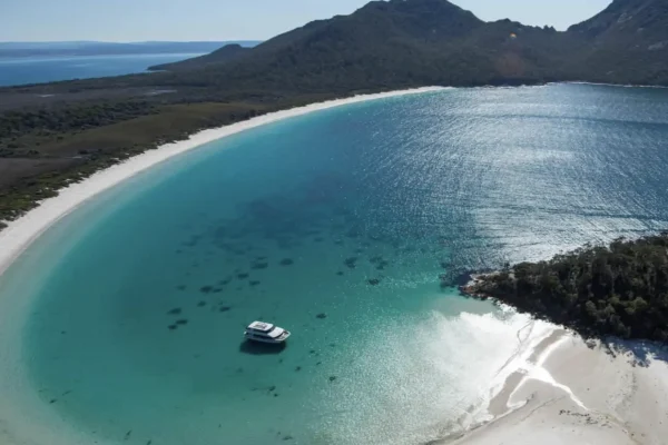6 Day Tasmanian Discovery Comfort Tour