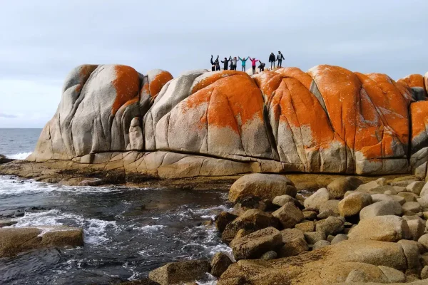 6 Day Tasmanian Discovery Comfort Tour