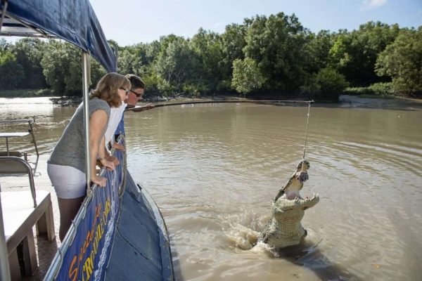 Saltwater Crocodiles in Kakadu National Park