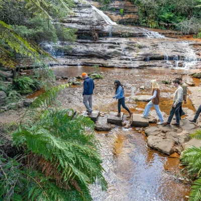 Blue Mountains - Katoomba Cascades Destination NSW 198209-56