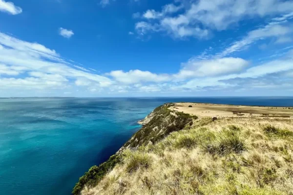 Cape Bridgewater