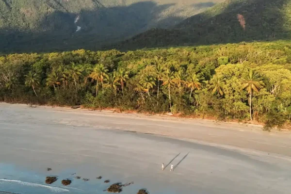 Cape Tribulation