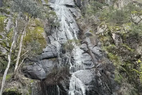 Clematis Falls