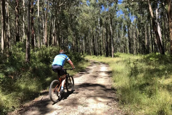Cycle part of the Great Ocean Road on a mountain bike