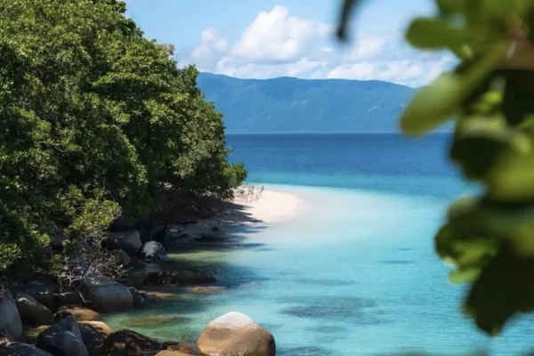 Fitzroy Island Rainforest Meets Reef