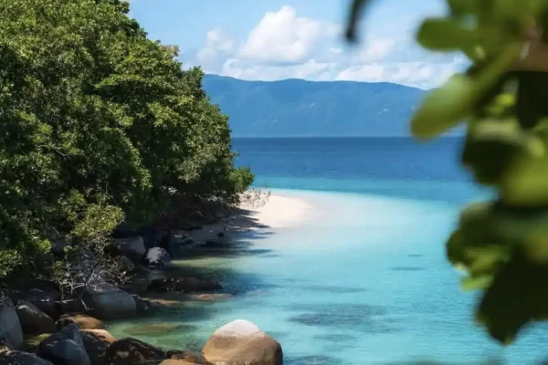Fitzroy Island Rainforest Meets Reef