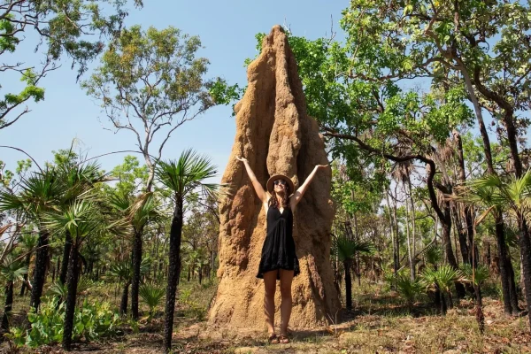 3 day kakadu and litchfield tour