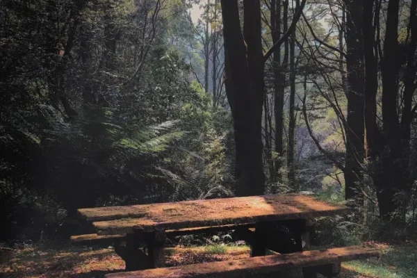 Melba Gully