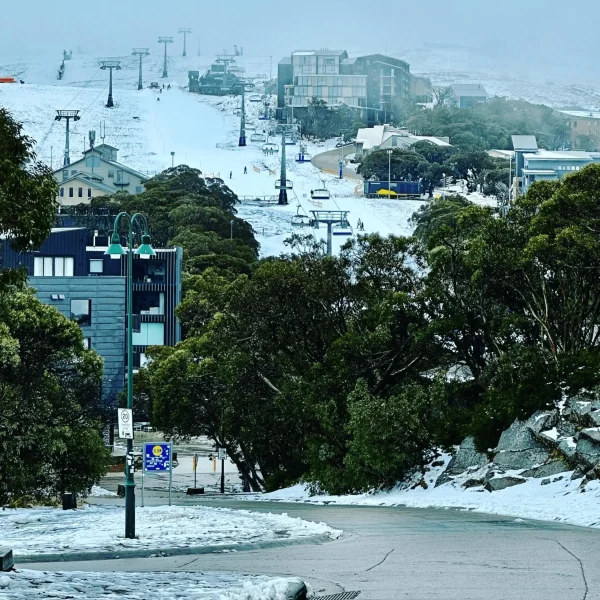Mount Buller Snow tour