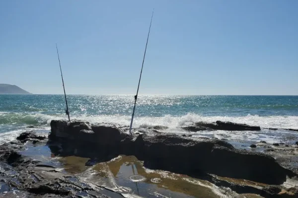 Phillip Island Fishing