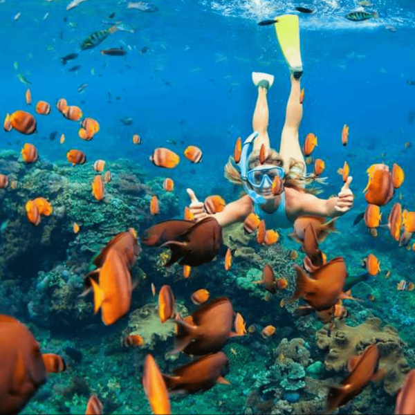 Snorkeling Fish