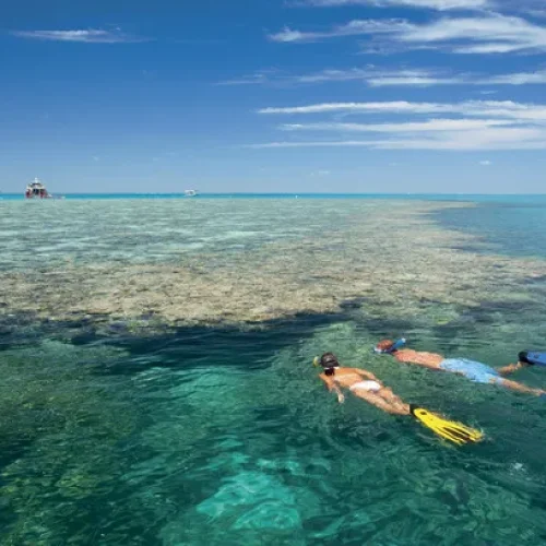 Snorkelling on the Great Barrier Reef