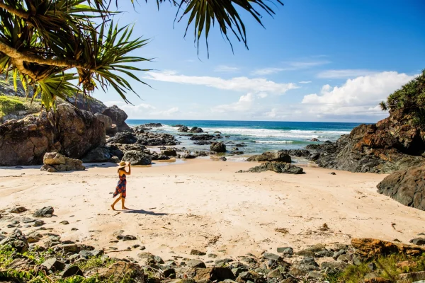 Sydney to Cairns tour