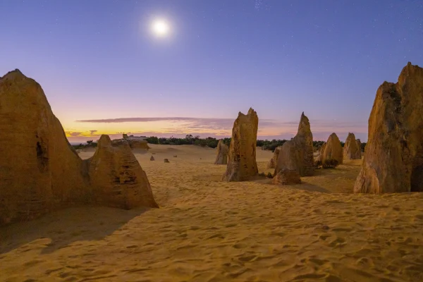Things to do Pinnacles