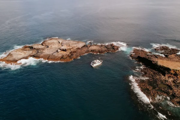 phillip island things to do